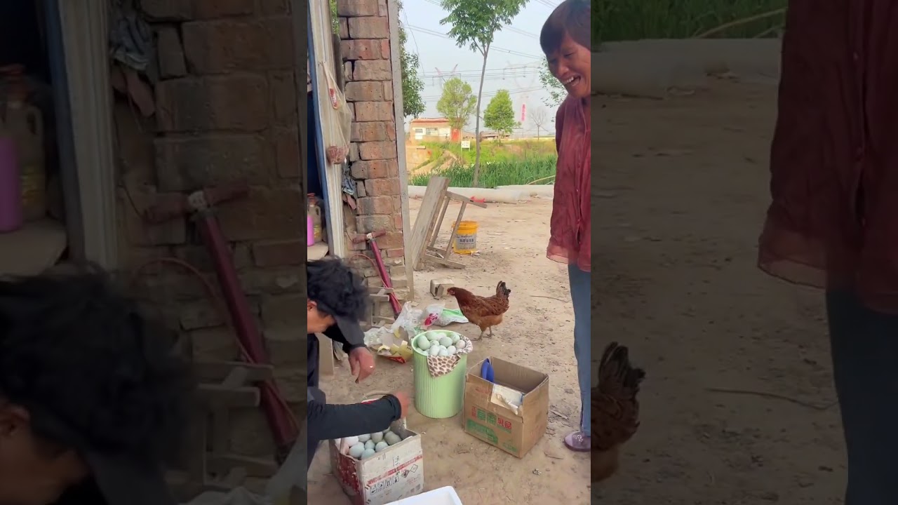姑姑家怎么那么能吃鸡蛋，一次次的太给力了#我的乡村生活vlog #记录我的农村生活