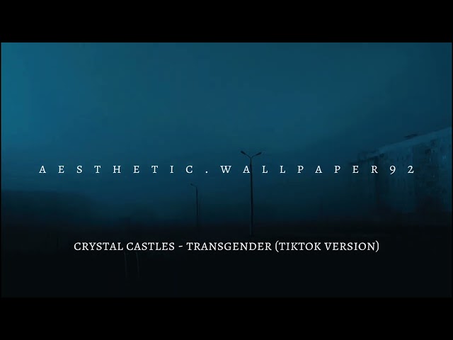 Crystal Castles - Transgender (Tiktok version) class=