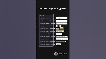 html input types