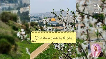 الشيخ عمير شميم | تلاوة من سورة النساء ٢