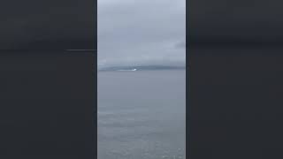 IMG 0 34
