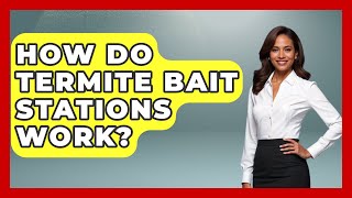 How Do Termite Bait Stations Work? | Insects and Invaders