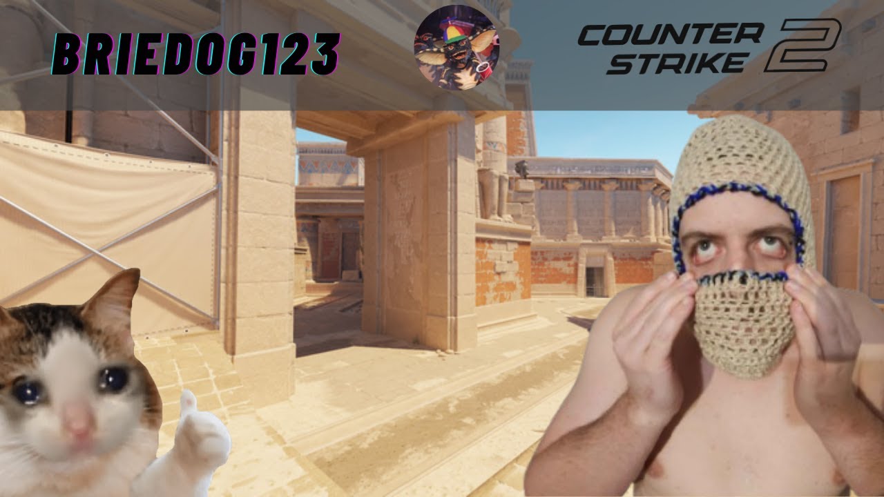 COUNTER STRIKE 2 ⚡ #1 TOP FRAGGER ⚡ BOT DESTROYER ⚡ CERTIFIED PROFIT