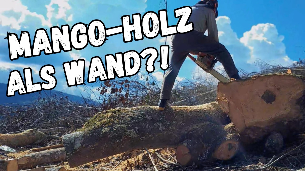 FREI LEBEN – Wir bauen unser Holzwände selbst!