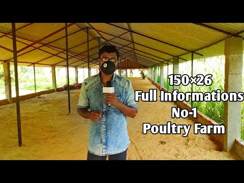 इस किसान ने बनवाया अपना नया Poultry Farm, देखीये कितना खर्च आया इस farm को बनवाने मे | Indian farmer