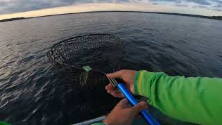 Download Lagu 32cm MP3