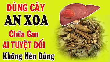 Chữa U gan, Xơ Gan, Men gan Bằng Cây an xoa - Những Ai Dùng có kết quả
