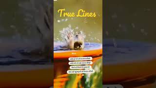 Bholi Si Surat Instrumental Sound