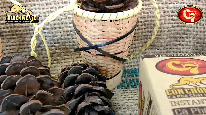 Công ty ca phê hoa tan top choice năm 2024