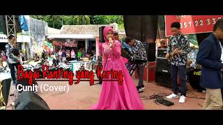 Download Cunit - Bagai Ranting Yang Kering Cover Live Video MP3 Cunit - Bagai Ranting Yang Kering Cover Live