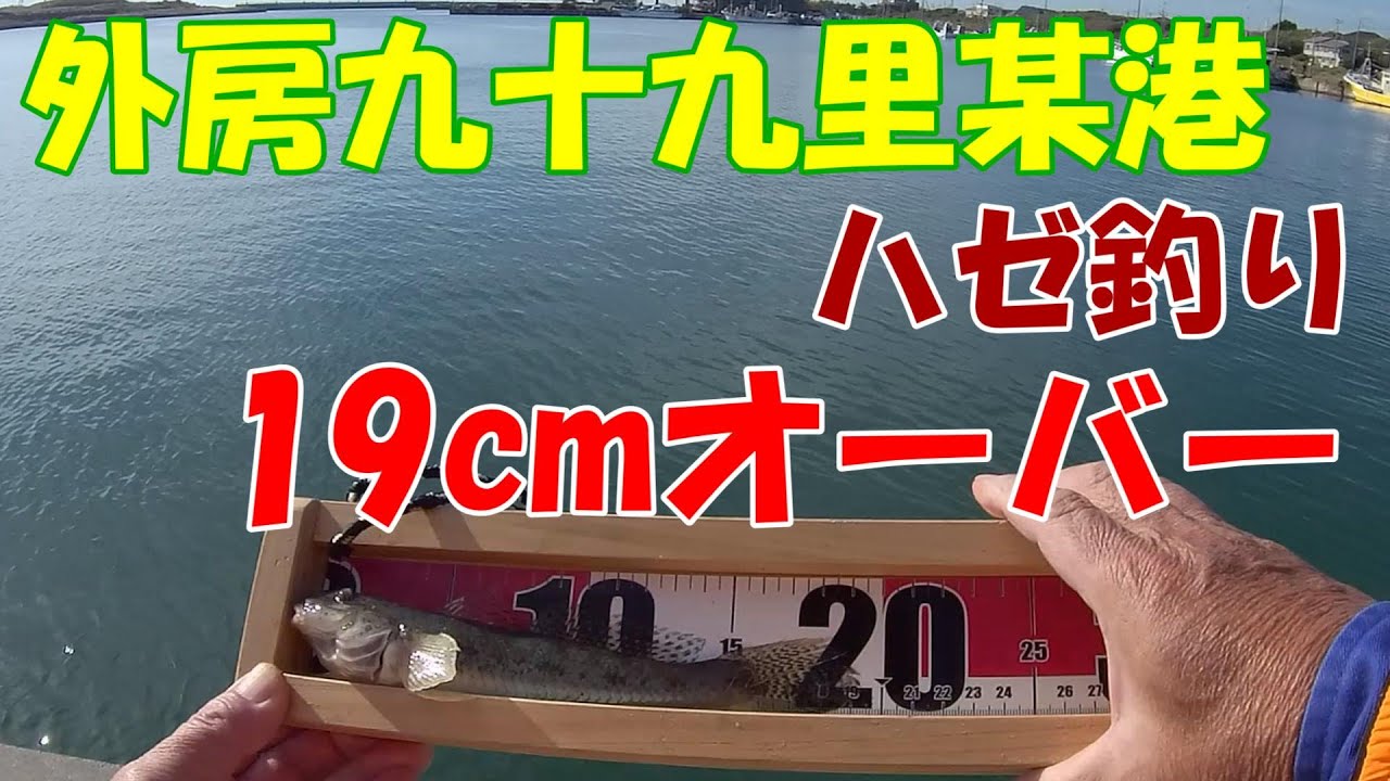 【中古】 銚子・九十九里浜と外房総の釣り場改訂新版 2025釣行記 外房ハゼ釣り】『九十九里某港』☆最大19cmオーバー - YouTube
