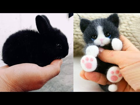 Aww Cute Baby
