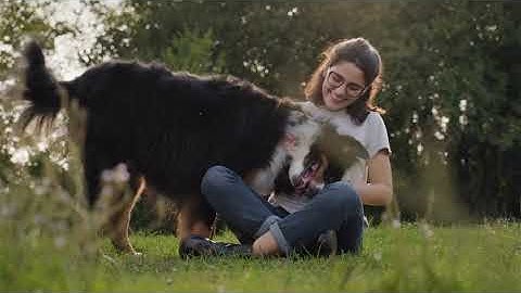 Why Your Dog Sleeps So Much