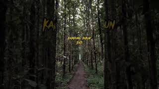 Download Lagu Kampung dukun santet pati di tengah hutan angker #dukunsantet #dukun #shorts MP3