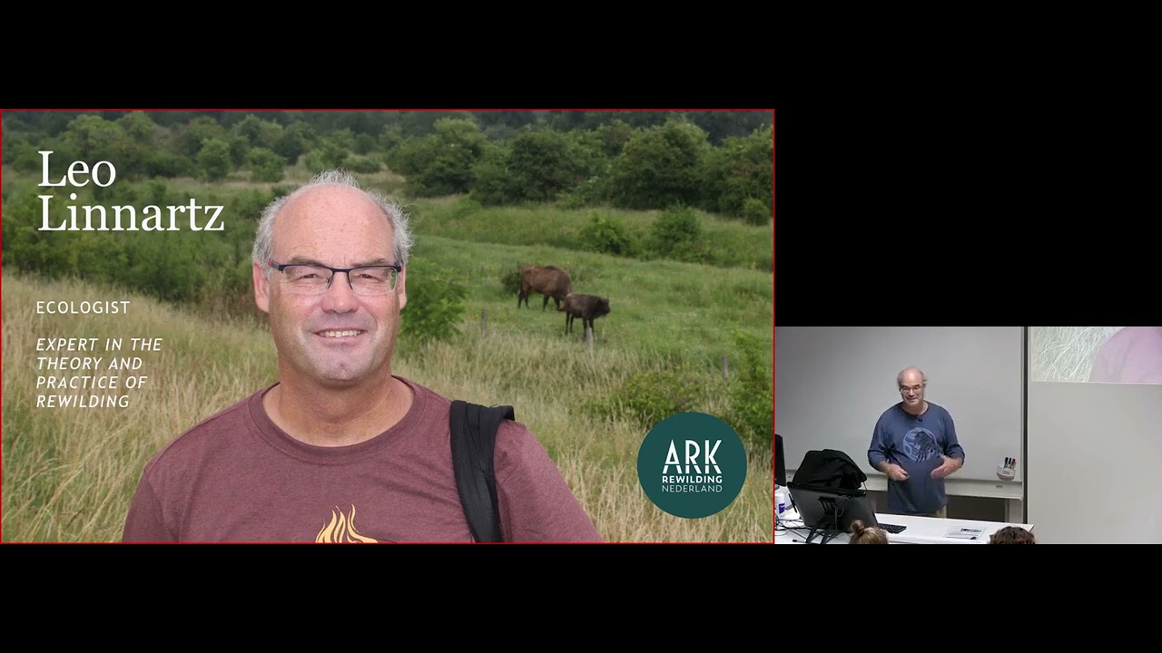 Rewilding college 3+4  Natural processes by Leo Linnartz ARK Rewilding NL