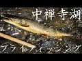爆釣の中禅寺湖　フライフィッシング