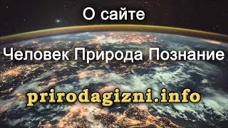 О сайте О сайте