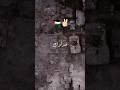 خذلوك غدروك تركوك الجبنا فلسطين Shorts خذلوك غدروك تركوك الجبنا فلسطين Shorts