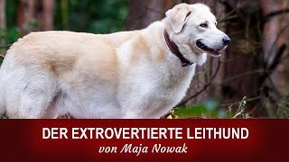 Der Leithund: Raida  kommentiert von Maja Nowak