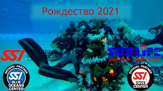 Рождество под водой. декабрь 2021