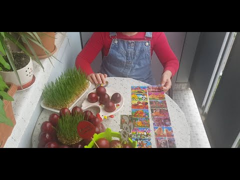 სააღდგომო კვერცხები