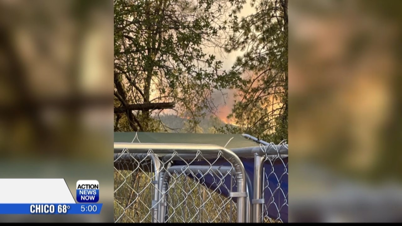 Jury trial date set for woman accused of starting the Fawn Fire - YouTube