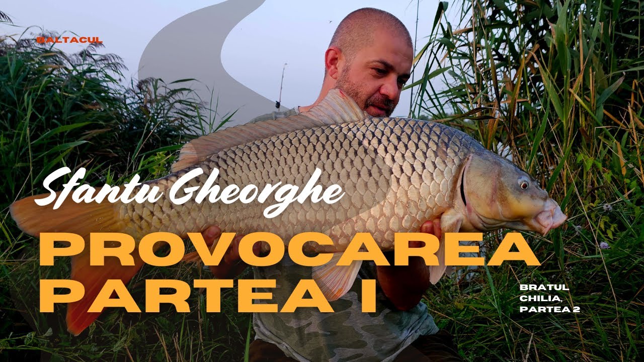PROVOCAREA - Crap de peste 10 kg pe fiecare brat din Delta Dunarii - Partea 1, Sfantu Gheorghe!