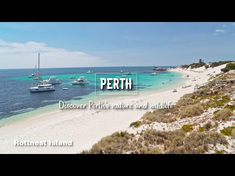 Perth, discover Perth’s nature and wildlife