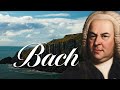 Bach partita in d minor bwv 1004 on cimbalom