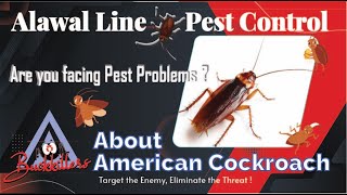 About Cockroach, why are cockroaches so hard to kill ?