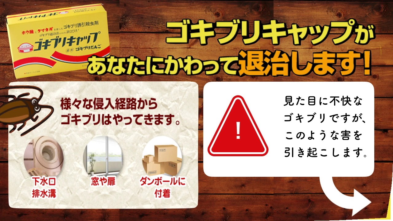 ゴキブリキャップ Youtube