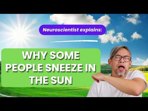 Do you sneeze in the sun? Neuroscientist explains why.