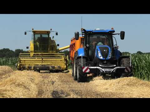 WINTERGERST DORSEN MET EEN  NEW HOLLAND CLAYSON 1545 NEW HOLLAND T 6.155