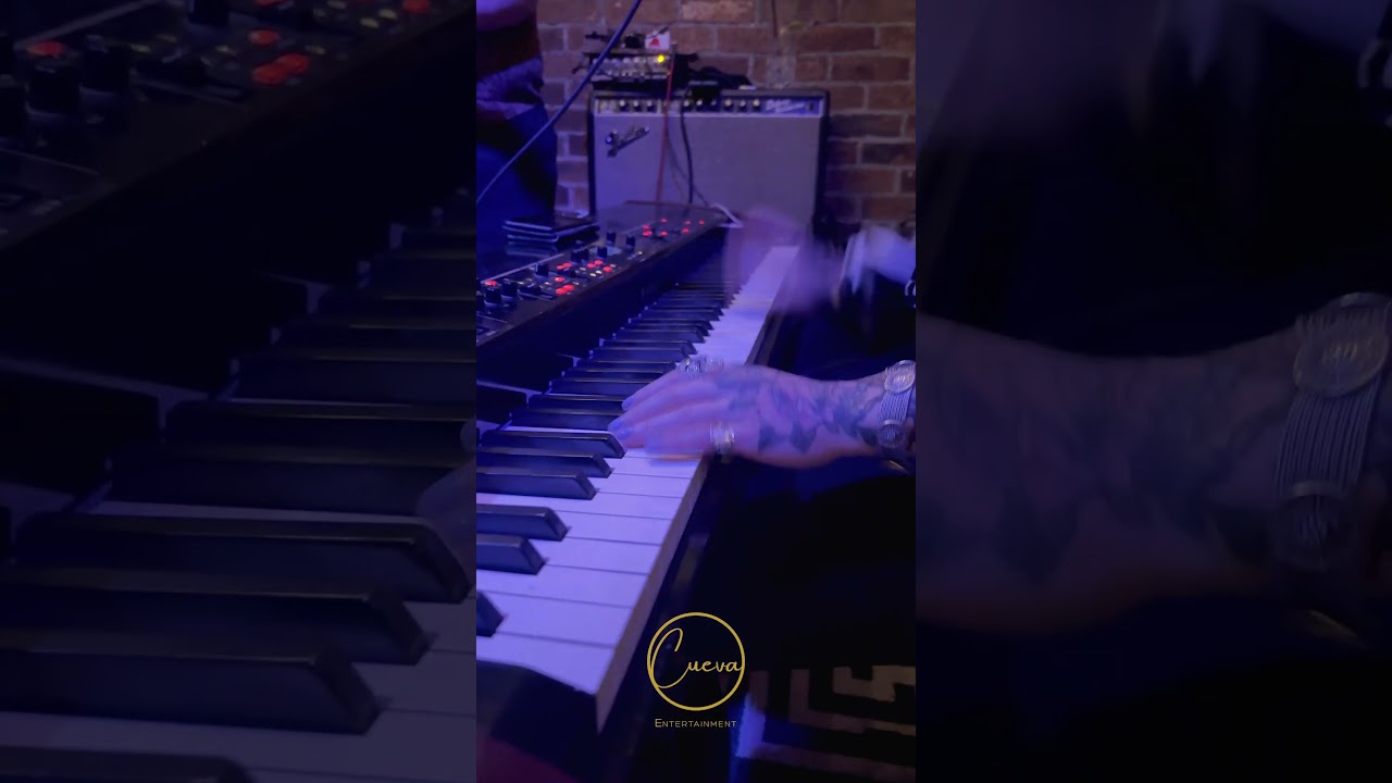 Taryn Reel at The Drake Laguna | Cueva Entertainment