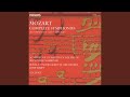 Miniature de la vidéo de la chanson Symphony No. 39 In E-Flat Major, K. 543: Ii. Andante Con Moto