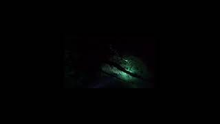 In a spring!🤿🔦#springs #darkness #scubadiving #diving #dive #scuba #underwater #freshwater #shorts