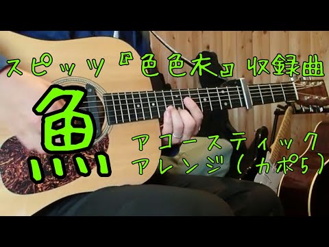 #4 魚／スピッツ【アコギで「色色衣」全収録曲を弾いてみた】