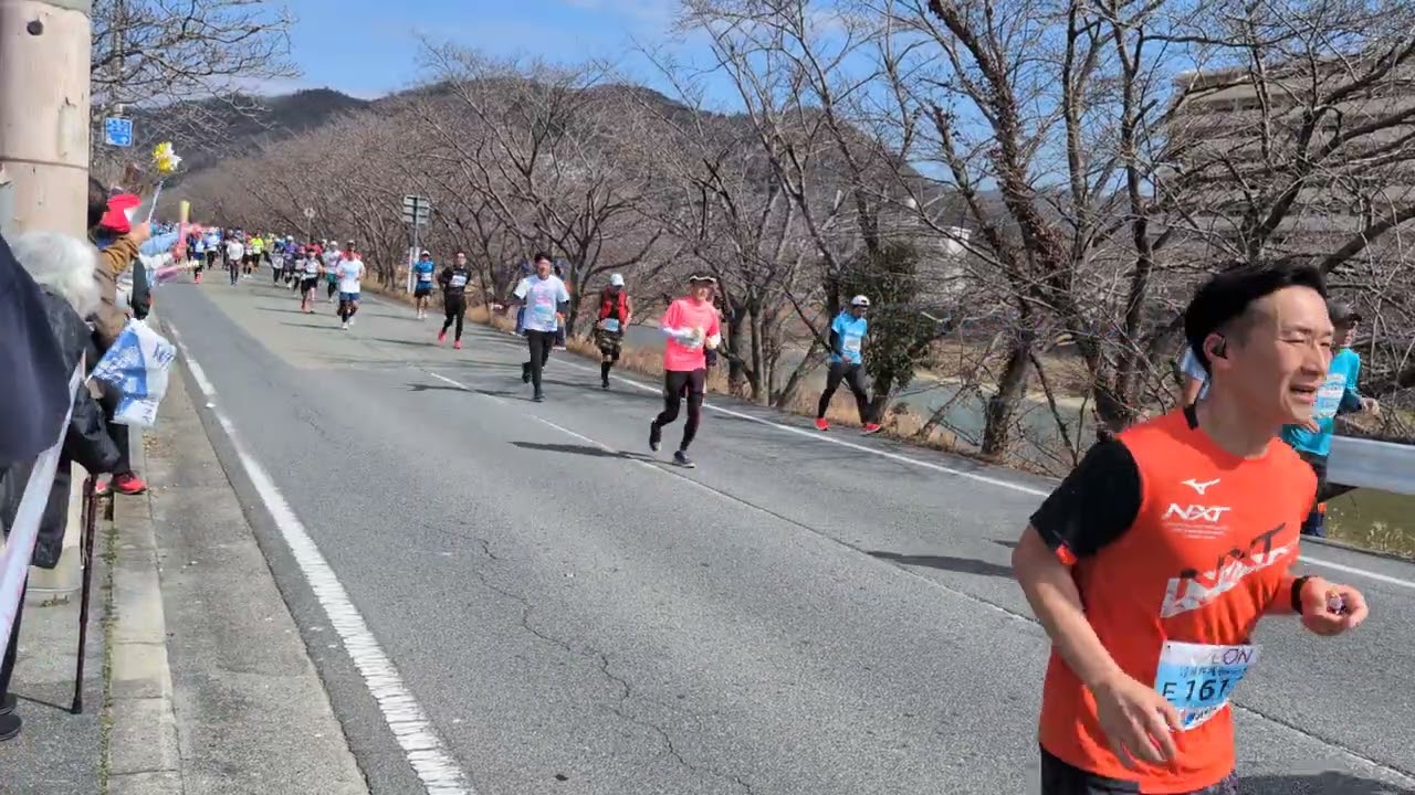 姫路城マラソン2026　マックスバリュ書写11:53〜