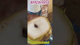 కోకోనట్ కటింగ్ మెషిన్ #coconutcuttingmachine #amazingmachinery #ytshorts #viralnow