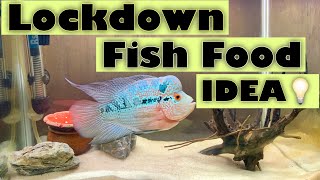 DIY Lockdown Fish Food screenshot 1