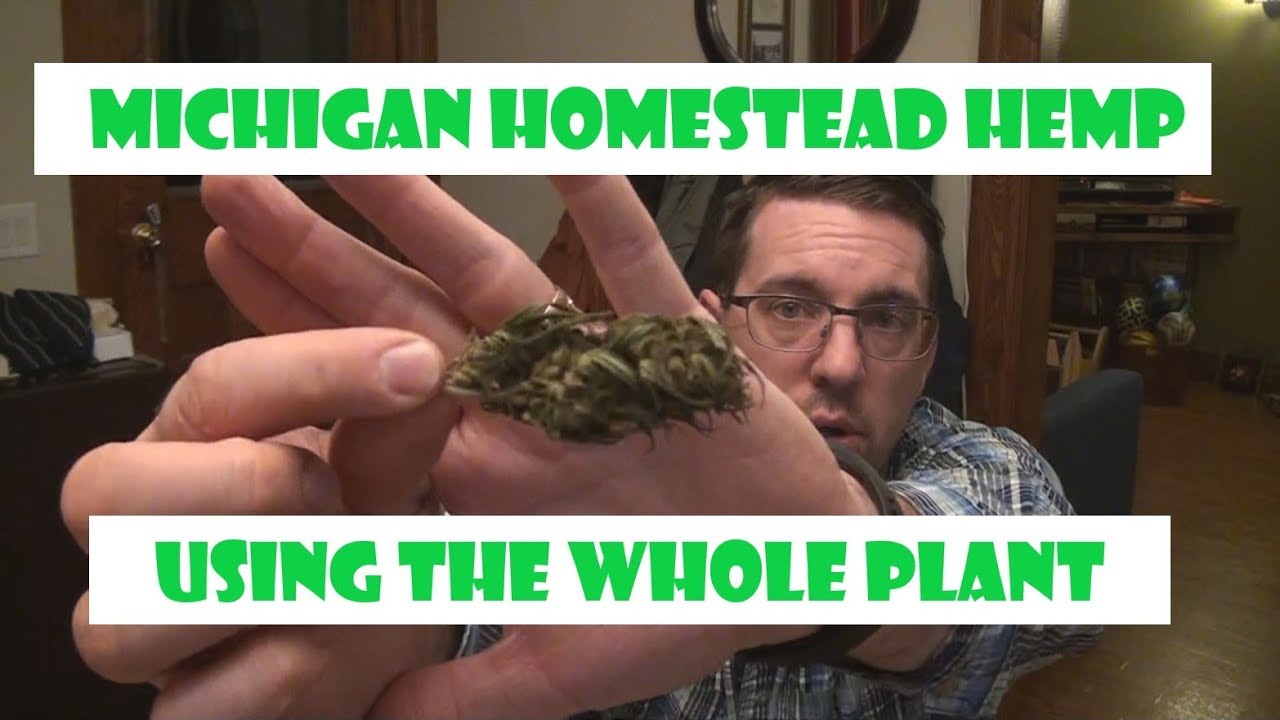 Michigan Homestead Hemp | Using the Whole Hemp Plant