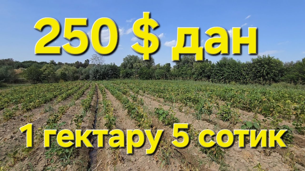 Ер сотилади Тошкент вил кадастири турар жой шошиламиз ками бор