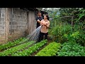 CEO Tu and Tieu Huyen worked together to renovate the vegetable garden to improve their lives.