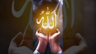 allah #allah #viral #love #viralshort #beautiful #vlog