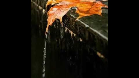 خشوووووع جدا قوي ( القارئ حماد عزي )