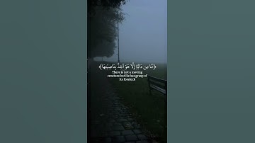 تلاوة مؤثرة للشيخ ماهر المعيقلي #راحة_نفسية