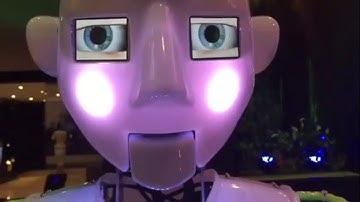The best social Robot in Dubai - Tecon Advanced technology