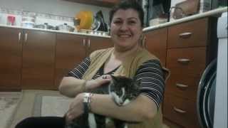 Bi̇r Kedi̇m Bi̇le Var Artik 20.12.2012