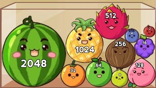 Watermelon Game 2048 - Level Up Fruits Merge Suika Game - Asmr Relaxing Mobile Gameplay Walkthrough screenshot 5