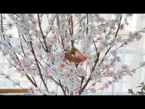 Video: Ağaçtan çiçek Nasıl Yapılır?